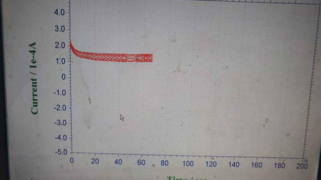 恒电位极化试验